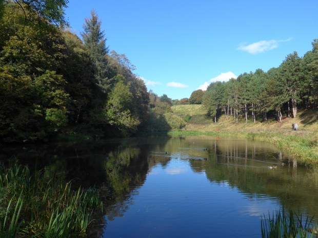 image-for-park-people